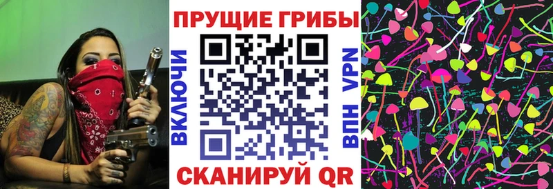 Псилоцибиновые грибы MAGIC MUSHROOMS  цена наркотик  MEGA зеркало  Канск 